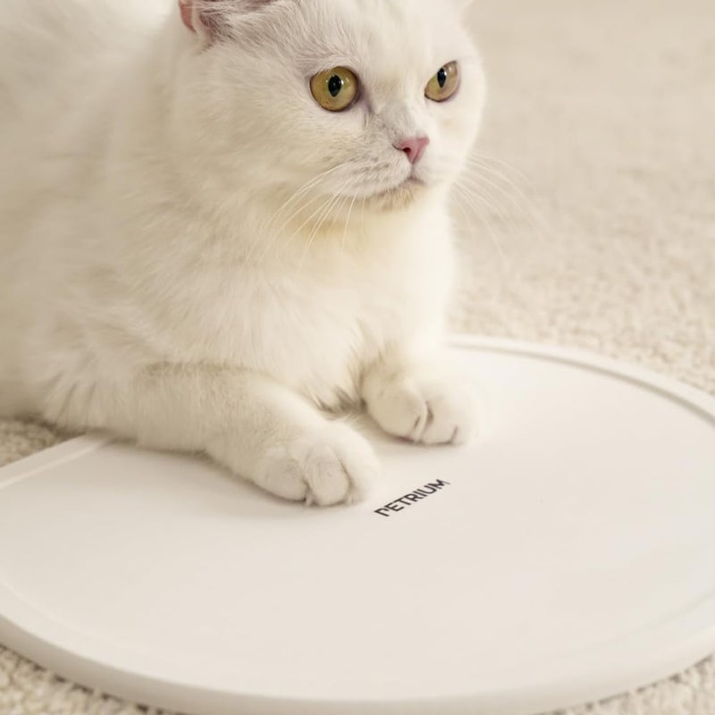PETRIUM Stone Dry Mat for Pets, Absorbent Pet Feeding Mat for Food, Water Bowls Quick Drying Mat for Pet Cat Water Fountains Natural Diatomaceous Earth Non-Slip Dog Cat Accessories for Messy Drinkers - Image 4